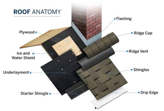 Labeled roof anatomy diagram showing plywood decking, ice and water shield, underlayment, starter shingle, drip edge, flashing, shingles, ridge vent, and ridge cap
