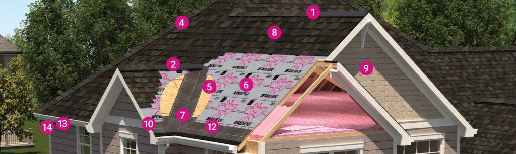 Cutaway view of roof anatomy showing shingles, synthetic underlayment, and roof decking